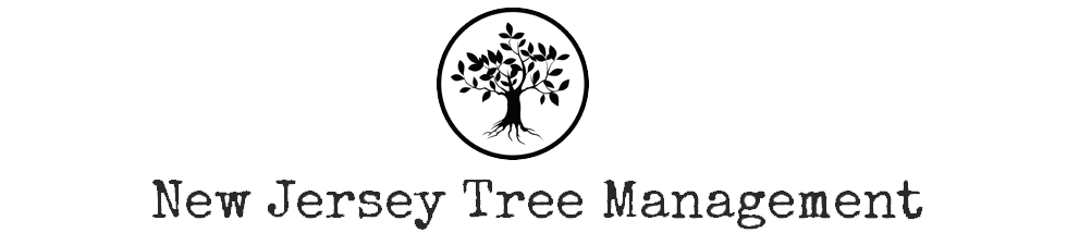 NJTM-logo